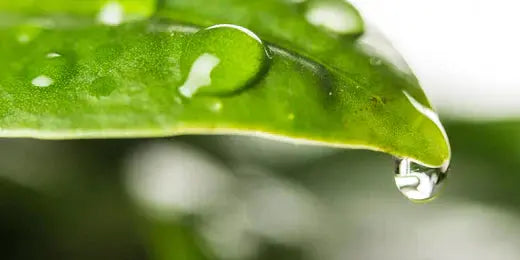 5-Astuces-Simples-pour-Réduire-votre-Consommation-de-Plastique Bwabio