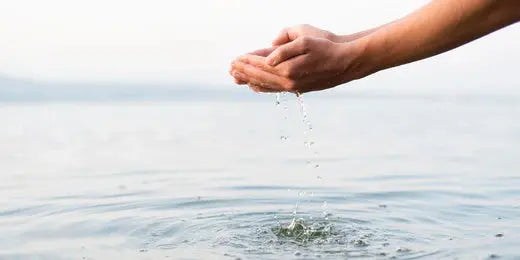 Pourquoi-Choisir-une-Filtration-Naturelle-pour-votre-Eau Bwabio