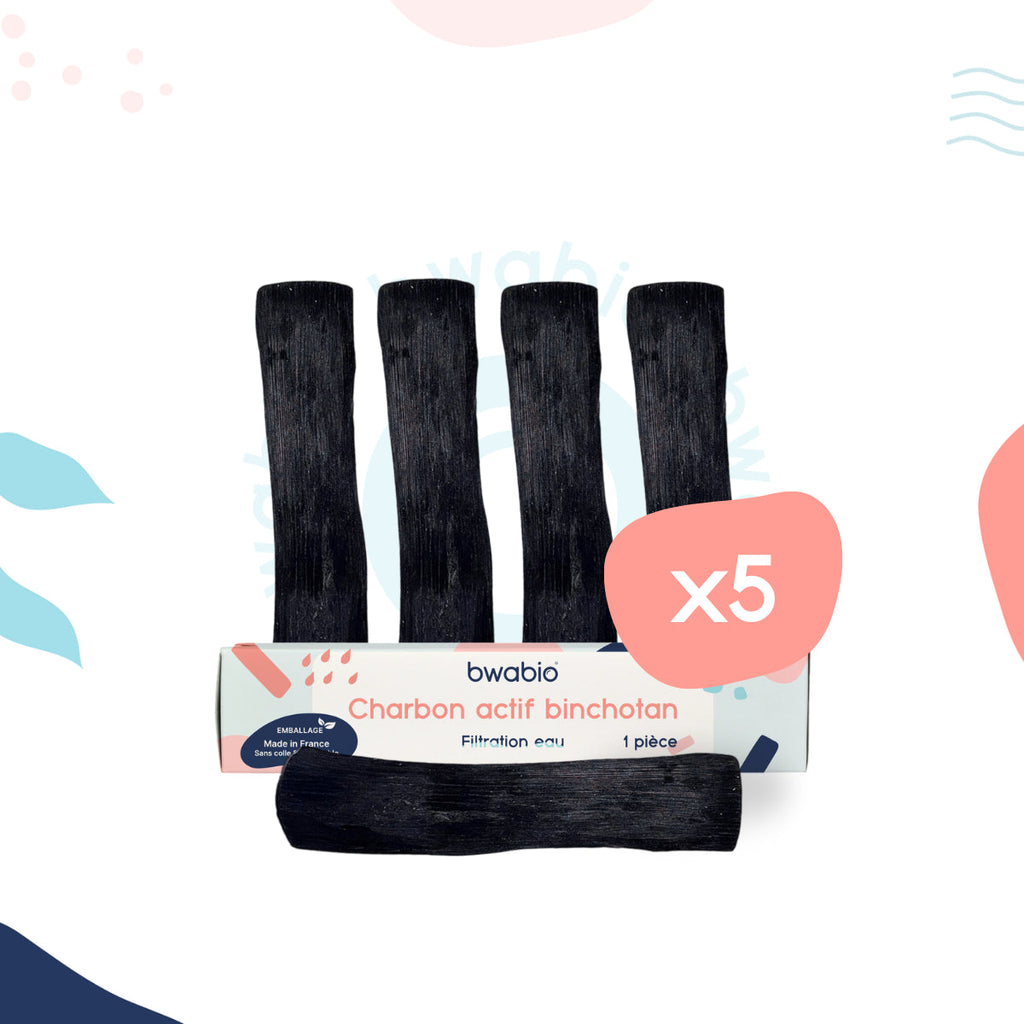 5 Charbons binchotan issu du Japon de la marque Bwabio