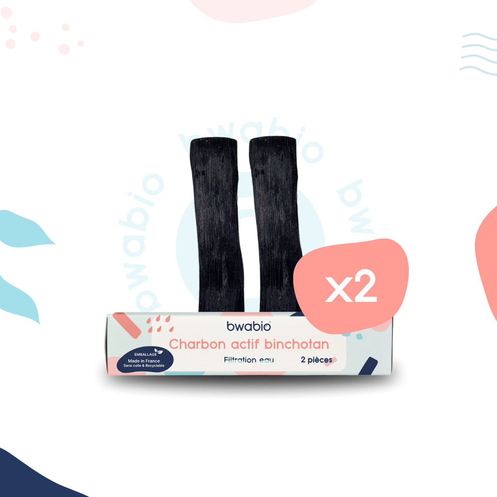 2 Charbon binchotan issu du Japon de la marque Bwabio