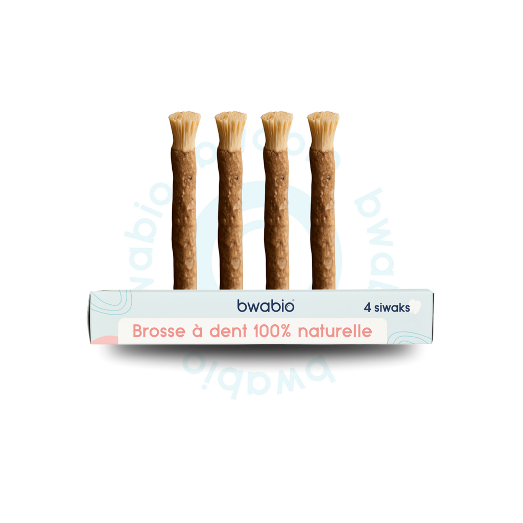 Pack x4 siwak de la marque Bwabio  sans fond siwak