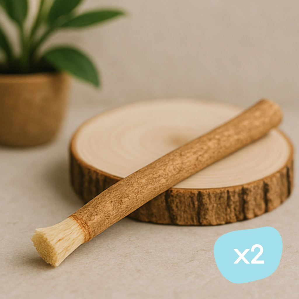 Siwak posé sur une rondelle de bois 