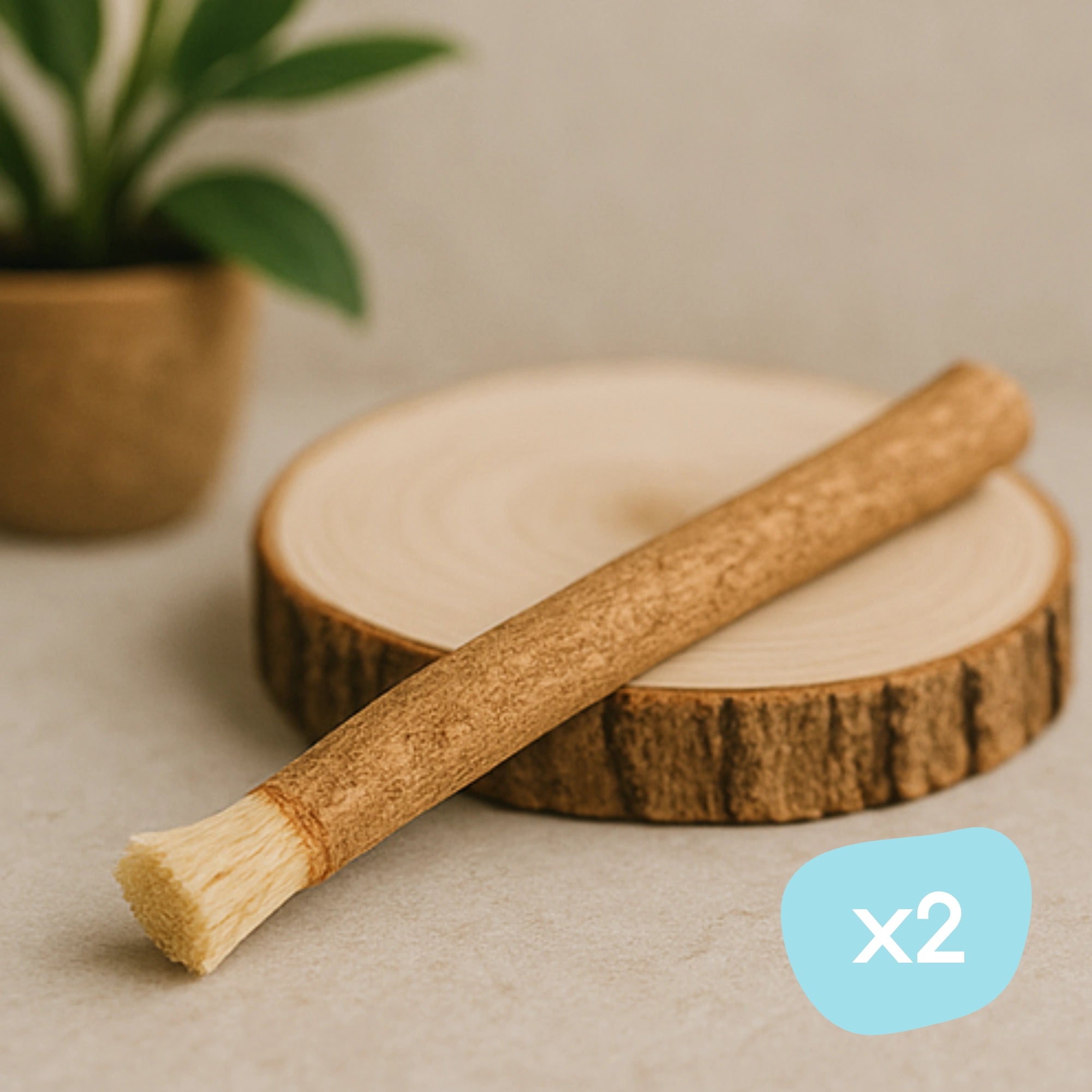 Siwak posé sur une rondelle de bois 