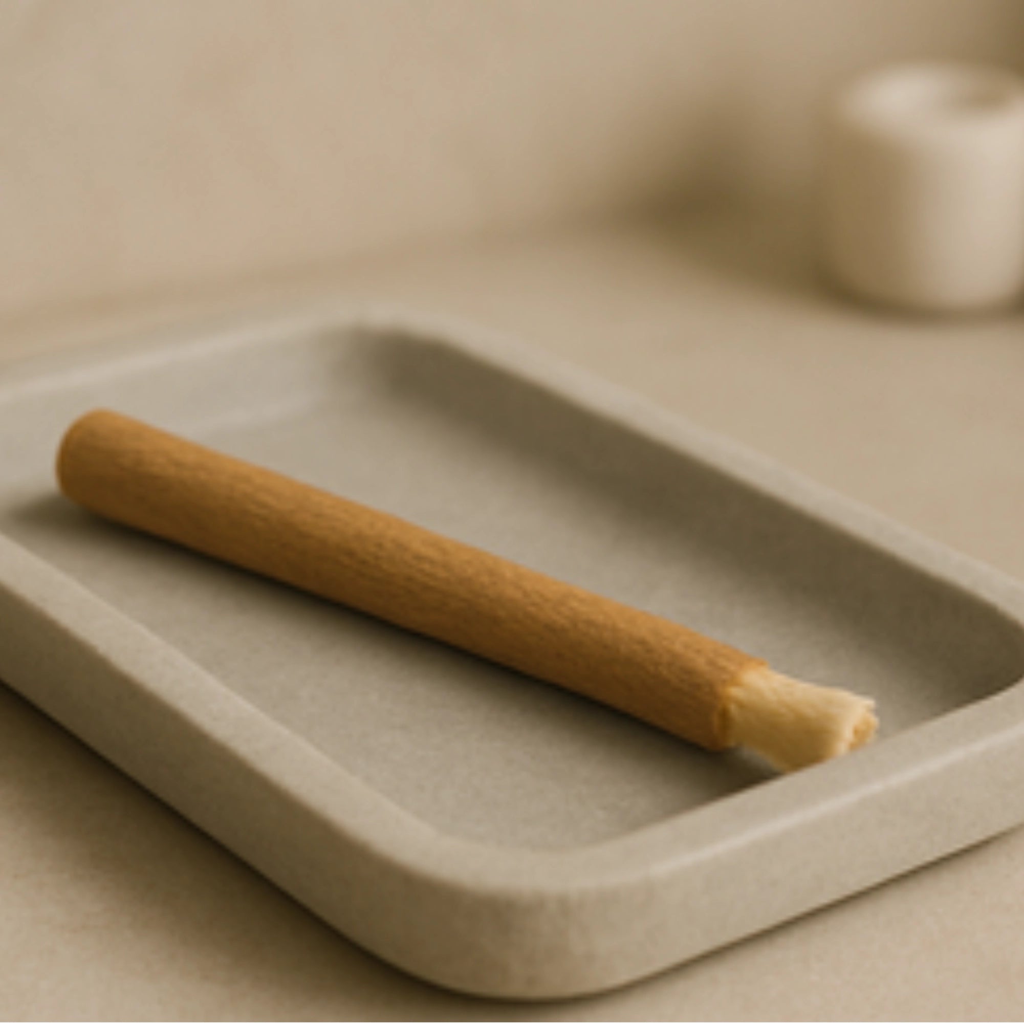 Siwak posé dans un récipient de salle de bain